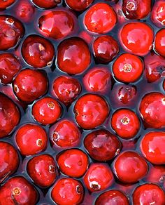 Cranberry Flavor Cranberry Photography, Cranberry Pictures, Sprite Cranberry Aesthetic, Cranberries Photography, Sparkling Cranberries, Wild Cranberries, Cranberry Oil, Cranberry Extract, Wine Spritzer