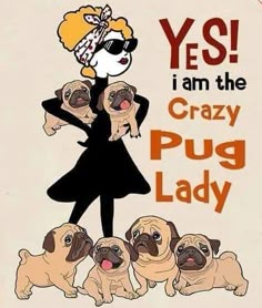 a woman in black dress standing next to four pug puppies with words that say, yes i am the crazy pug lady