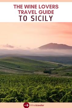 the wine lovers travel guide to sicly