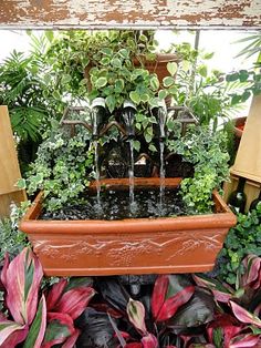 a fountain surrounded by potted plants in a greenhouse