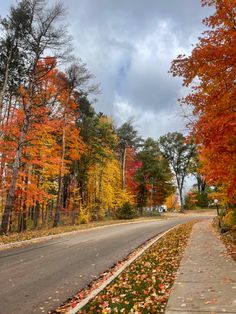 an empty road surrounded by colorful trees and leaves