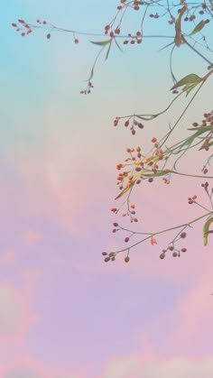 the sky is pink and blue with some small flowers on it's branches,