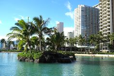 people are swimming in the water near some palm trees and tall buildings with balconies