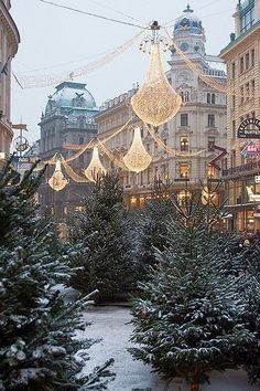 christmas trees are lined up on the street in front of buildings with lights hanging from them