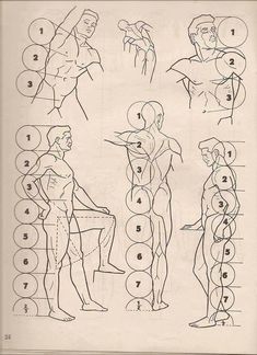 an instruction manual showing how to draw the human figure