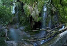 a small waterfall surrounded by trees and rocks