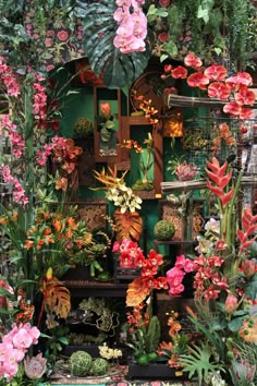 an assortment of flowers and plants displayed on shelves