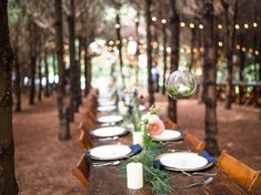 Celebrate your big day with Mother Nature at one of these stunning forest wedding venues in Ohio. Forest Wedding Venues, Woodland Wedding Venues, Forest Vibes, Forest Wedding Venue, Woodland Wedding, Outdoor Wedding Venues, Lush Garden, Forest Wedding, Nature Wedding