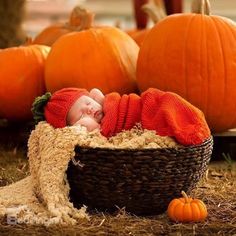 there is a baby doll in a basket surrounded by pumpkins and other fall decorations