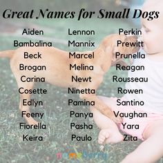 a baby sitting in the grass next to a dog with names for small dogs on it