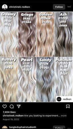 Ashy Blonde Hair Toner, Shades Eq Color Formulas, Ash Blonde Color Formulas, Redken Icy Blonde Formula, Icy Blonde Formula Shades Eq, Vanilla Blonde Hair Formula, White Blonde Toner Formula Redken, Buttery Blonde Formula, White Blonde Shades Eq Formula