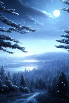 the night sky is full of snow and trees