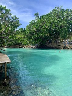 people are swimming in the clear blue water near some trees and a picnic table on the shore