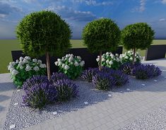 some bushes and flowers are in the ground