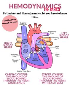 an image of the human heart with labels on it and instructions for how to use them