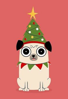 a dog wearing a christmas hat with a star on it's head, sitting in front of a red background