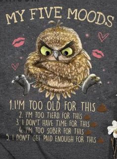 an owl with big eyes and the words, my five modds i'm too old for this