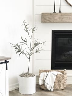 a living room with white walls and wood flooring, a plant in a basket next to the fireplace