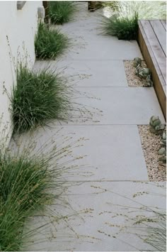 the sidewalk is lined with plants and gravel