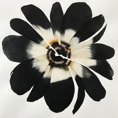 a large black and white flower on a white background with the clock in the middle