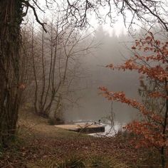 a boat is sitting on the shore of a lake surrounded by trees and foggy skies