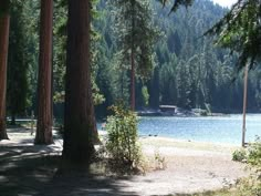 there is a boat that is in the water near some trees and grass on the shore