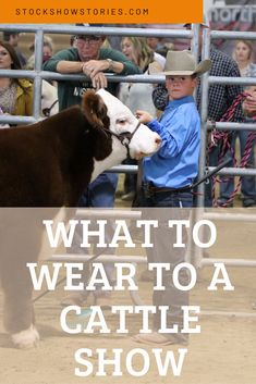 a man is holding the head of a cow at a cattle show