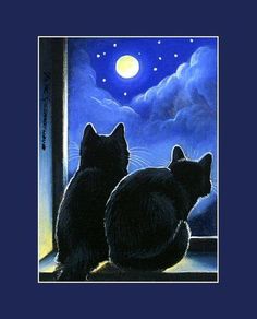 two black cats sitting on a window sill looking out at the night sky