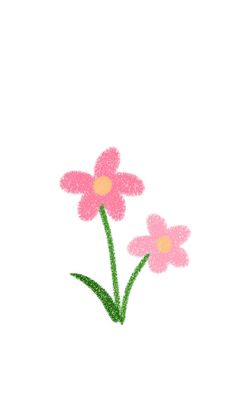 two pink flowers with green stems on a white background