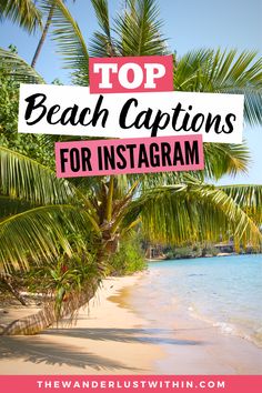 palm trees on the beach with text overlay top beach captions for instagram