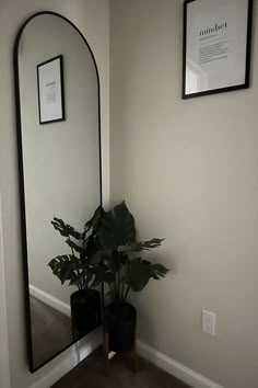 there is a mirror and potted plant in the corner