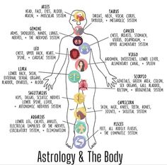 Body Astrology, Astrology Health, Medical Astrology, Astrology Meaning, Jyotish Astrology, Occult Science, Sacred Science, Astrology Planets, Tarot Book