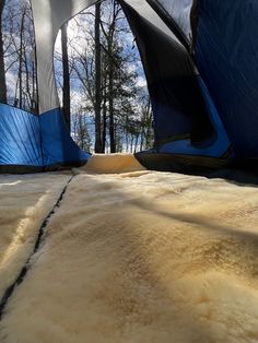 there are many tents set up in the woods with snow on the ground next to them