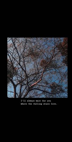 a tree with no leaves is shown against a blue sky and the words, it's always raining