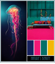 there is a color scheme with an image of a jellyfish in the water and on the floor