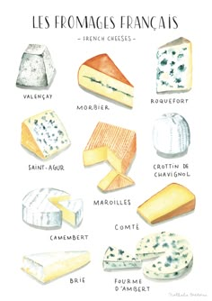 a poster with different types of cheeses and their names in french, english or spanish