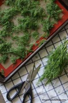 a pair of scissors sitting on top of a cutting board next to some green plants