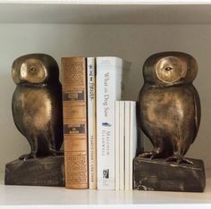 two bronze owls sitting on top of books next to each other in a book shelf