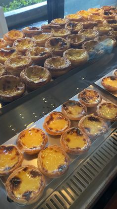 many pies are lined up on the counter