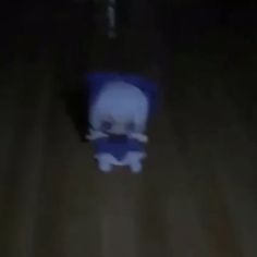 a blurry image of a cat walking in the dark