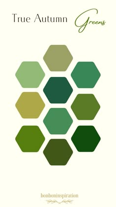 the cover of true autumn greens, featuring green hexagons and white background