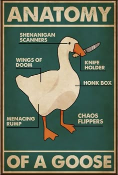 an anatomy of a goose poster