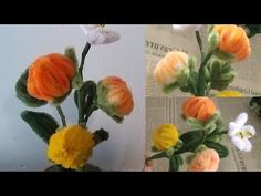 three different pictures of flowers on top of each other, one is orange and the other is white