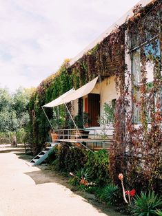 an old house covered in vines and plants