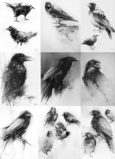 black and white drawings of birds sitting on top of each other