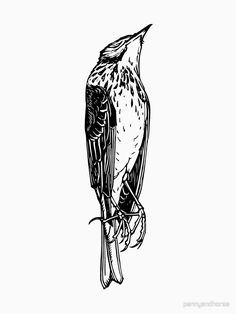 a black and white drawing of a bird sitting on a branch with its beak open