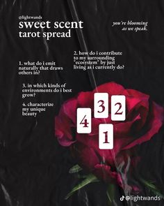 a red rose with the words sweet scent tarot spread on it's side