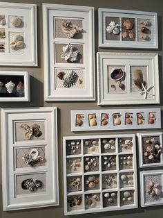 there are many pictures on the wall with seashells in them as well as shells