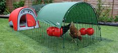 a chicken in a cage on the grass near a fence with red balls and a green cover