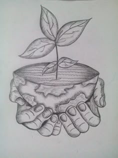 a drawing of two hands holding a plant